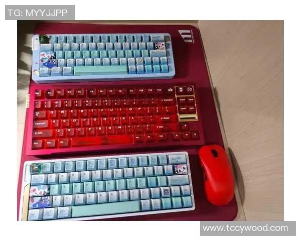 CSGO装备选购指南：如何选择适合你的游戏键盘推荐