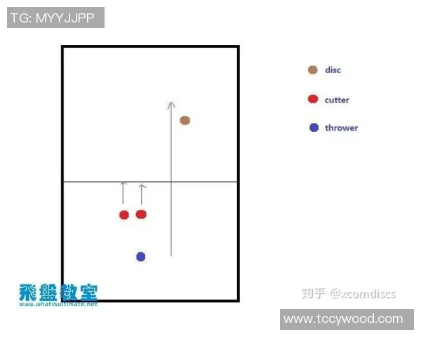 成都飞盘队区域防守战术解析与实战应用探讨