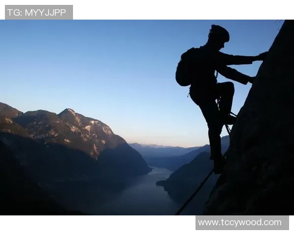 世界级运动员的奋斗历程与成就背后的努力与坚持