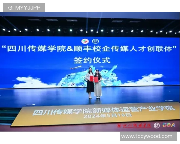 成都飞盘队的运营揭秘与发展探索深度解析