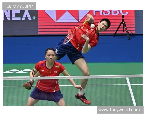 深入分析重庆羽毛球队区域防守战术及其对比赛的影响