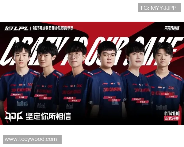 DOTA2深度解析：探讨JDG战队在比赛中的战术意识与团队协作