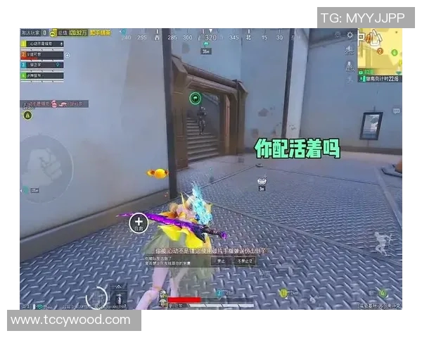 和平精英讨论热潮BLG耐力争议引发玩家热议与思考