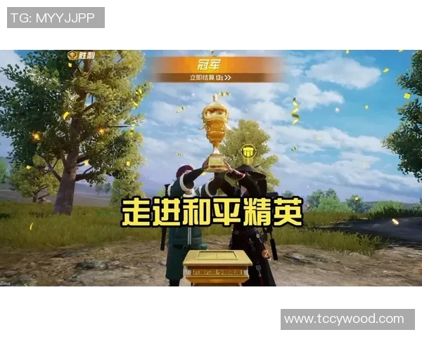 杨娜专访揭秘和平精英成功背后的策略与创新之路