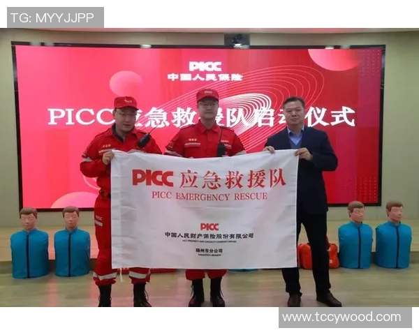 独家解析：上海飞盘队与其他队伍技术特点的全面对比分析