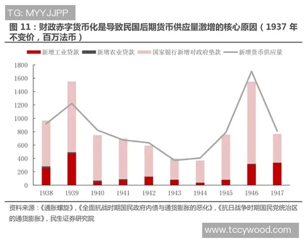 南京飞盘队运营分析:成功经验与面临挑战的全面探讨